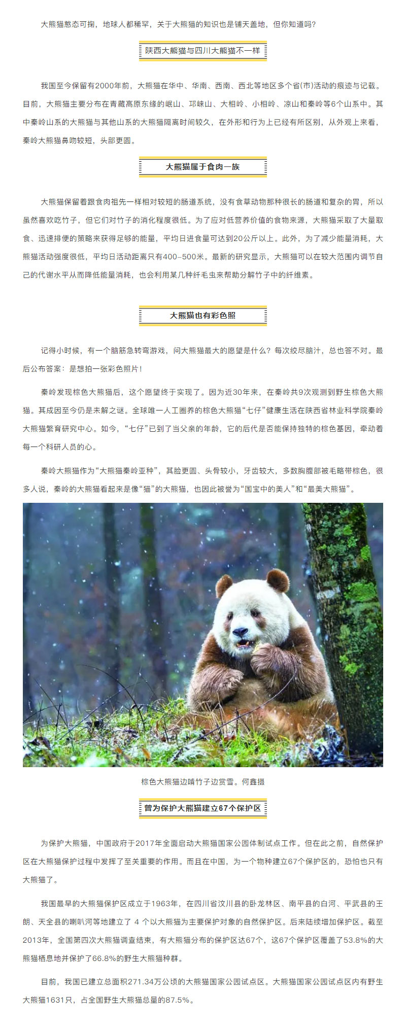 科普-_-大熊猫也有冷知识.jpg